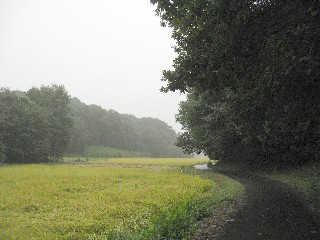 �c�����i