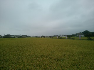 �����n����