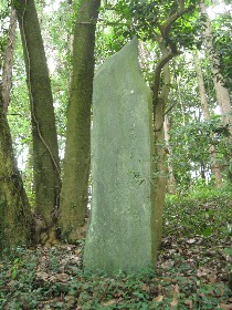 �ɌÔT����ʔ䔄�_�Ђ̔m�ԋ��