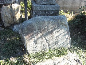 ���{�_�Ђ̔m�ԋ��