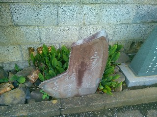 �~�Ǝ��̔m�ԋ��F�H���s