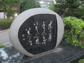 終̋Fts