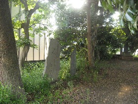 ����_�Ђ̔m�ԋ��