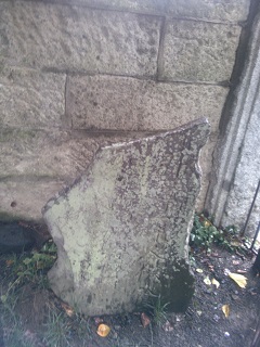 �������̔m�ԋ��