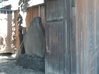 �t�R�Ƃ̔m�ԋ��