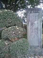 �����@�̖Ζ؏H�����