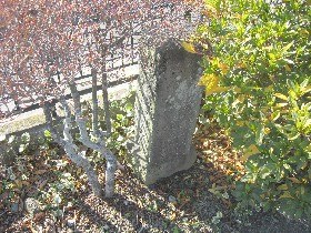 ���{�����ق̔m�ԋ��