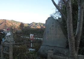 �p�r�̑�앐�q�̋��