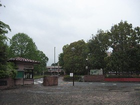 ��������������(NWEC:�k�G�b�N)