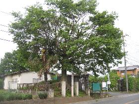 �G�q�ꗢ��