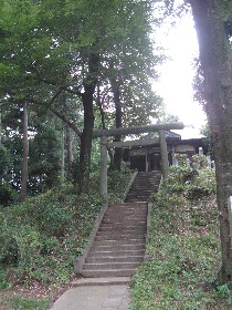 �F��_�ЌÕ�