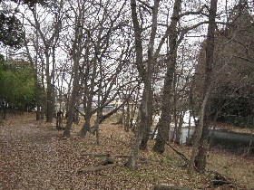 ���l�L��