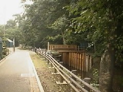 �����ʑD�x