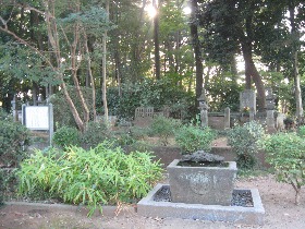 ���莛�̎R����B���ꑰ�̕�