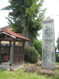 �l�{�؂̔Γ��k