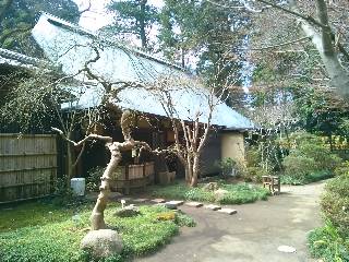 �V���s�F�������i������������j