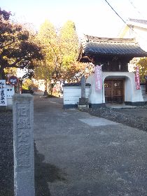 ����s�F�����q�X��