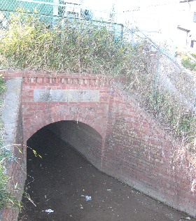 �召�������