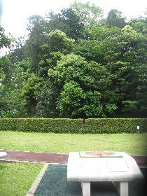 �����s�F�A�ˌÕ�