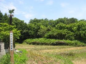 ������̗ېՁF�����R�s