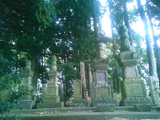 �����R�s�F����܎��ݑ�̕�