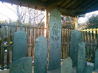 �������̔�Q