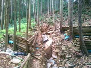 �����E�R�萻����