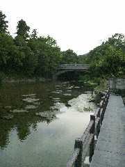 �Ƃ����풬�F�ʐ싴