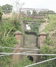 �V�_����