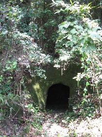 �V�_�R������Q