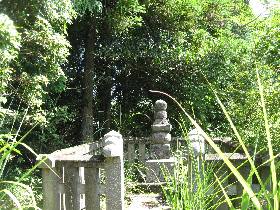 �������������