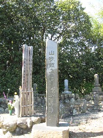 �R���P�̕�i�ǟ⎛�j