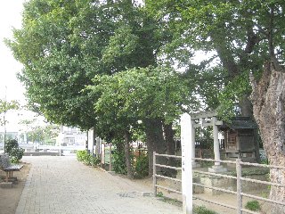 �����̈ꗢ��