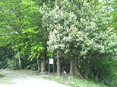 �ԐϊL�ˁF�t�����s