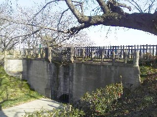 ��������p����ǌQ(������)