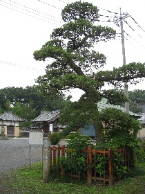 ���s�@�t���Ԃ�̏���