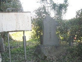 �����싌�����