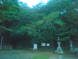 �i�����Õ�