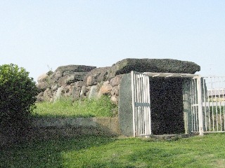 �����R�Õ�