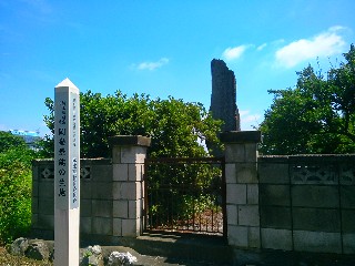 ���o�i�\�̐��n