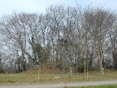 �����Õ��Q