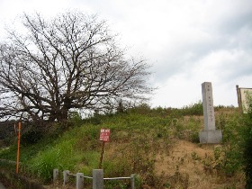 ���␹�V�ˌÕ�