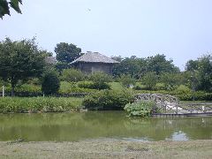 ���h�Ñ�q�ɌQ��