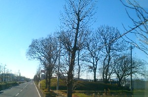 ���ˎR�Õ�