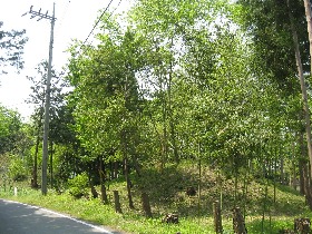 �����s�F�ђˏ��،Õ��Q