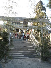 ������Z�V�_��