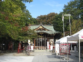 ����s�F����X��_��