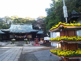 ����s�F�����������_��