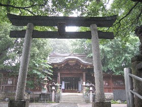 �����J�X��_��