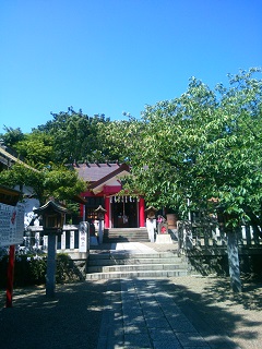 �����X��_��